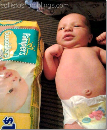 Brysen Love Pampers Swaddlers