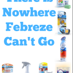There is Nowhere Febreze Can't Go