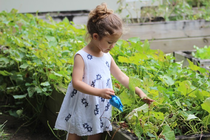 Young girl in a garden - gardening is one way to encourage kids to spend more time outdoors
