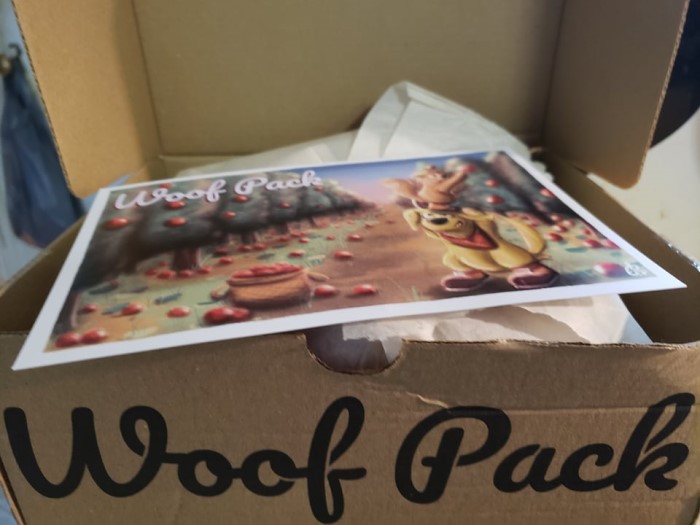 There are subscription boxes for everything these days. If you are looking for a subscription box for dogs, try Woof Pack.