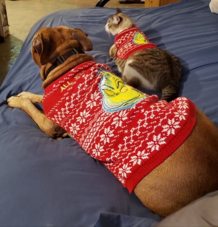 Kratos and Raiden in matching Grinch Ugly Christmas Sweaters from Petsmart