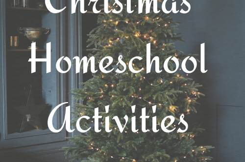 Christmas Homeschool Activities
