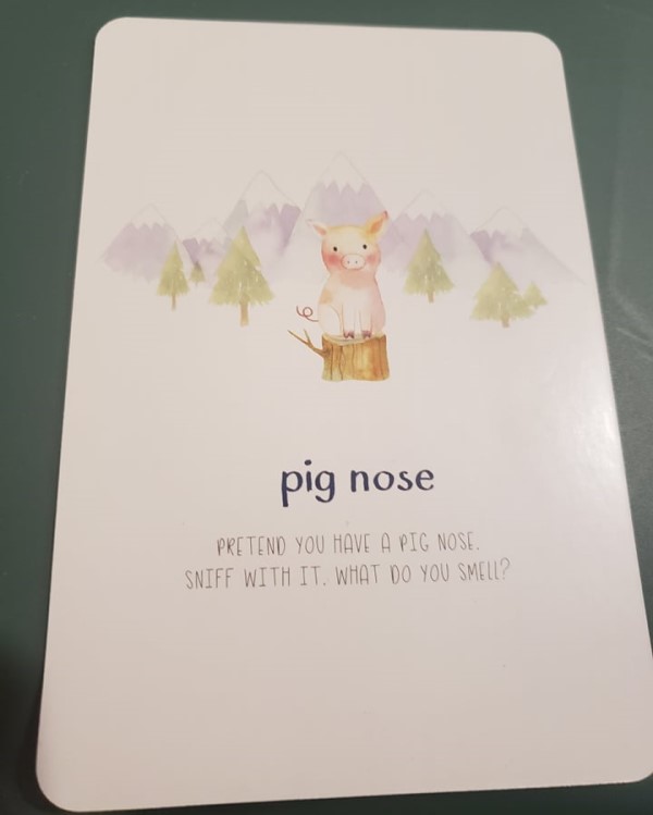 Pig Nose Card