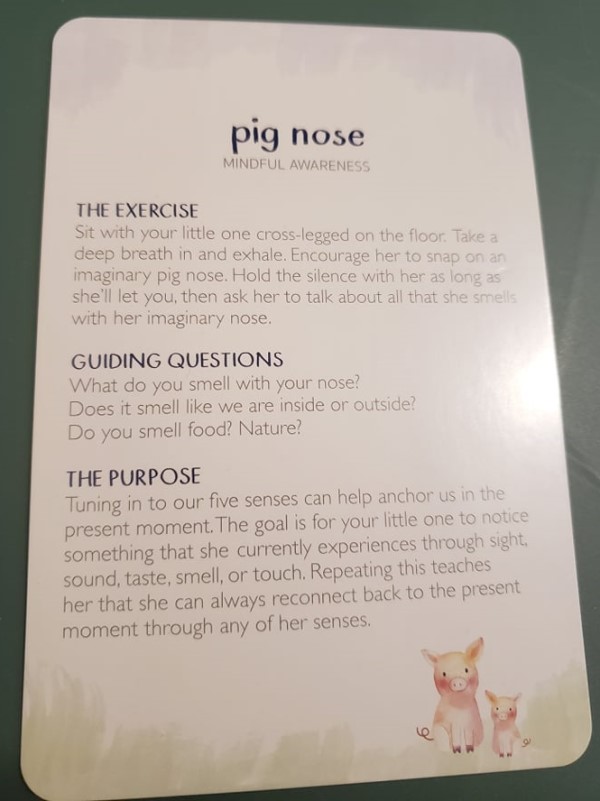Pig Nose Card