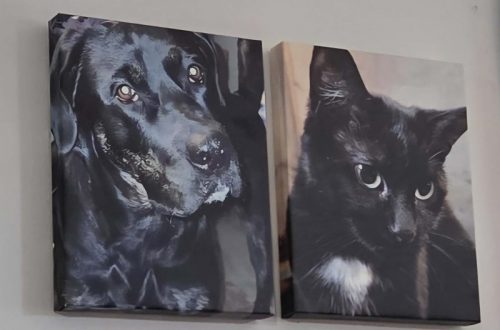 Fujifilm Printlife Canvas Photo Prints