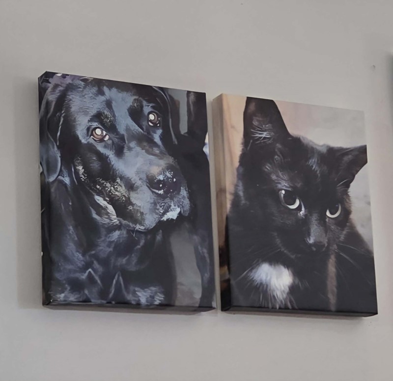 Fujifilm Printlife Canvas Photo Prints