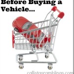 Before Buying a Vehicle
