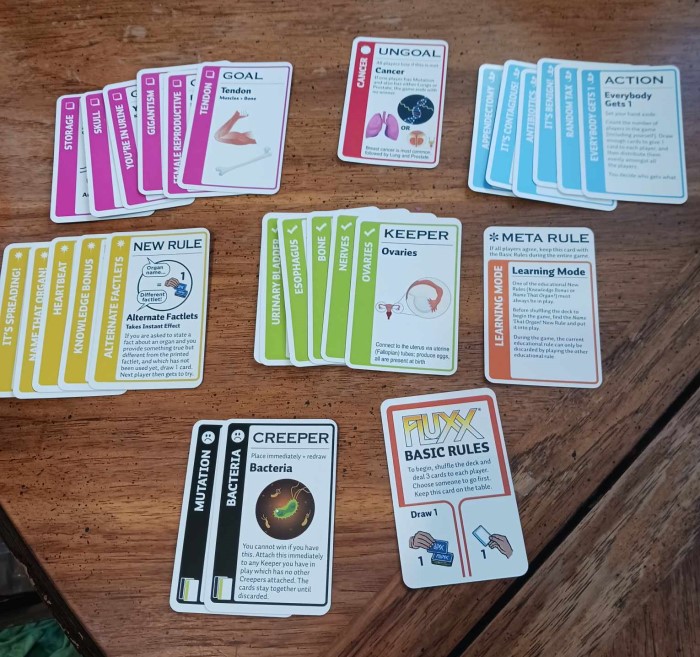 Learning With Fluxx Games - Astronomy and Anatomy Fluxx