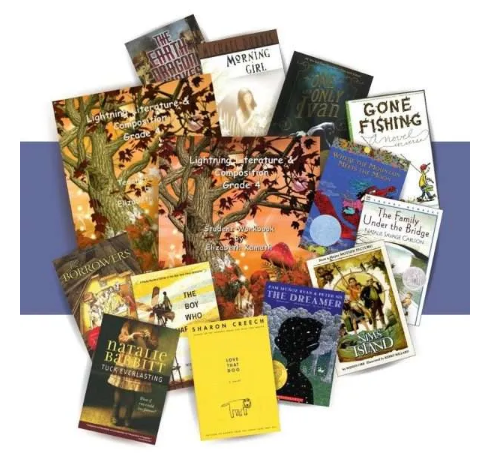 Lightning Literature Review