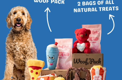 Woof Packs Dog Subscription Box