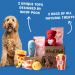 Woof Packs Dog Subscription Box