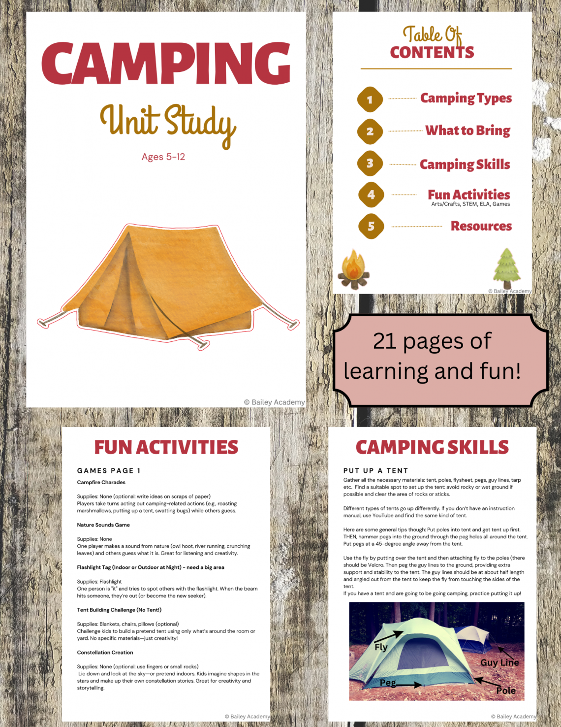 Camping Unit Study
